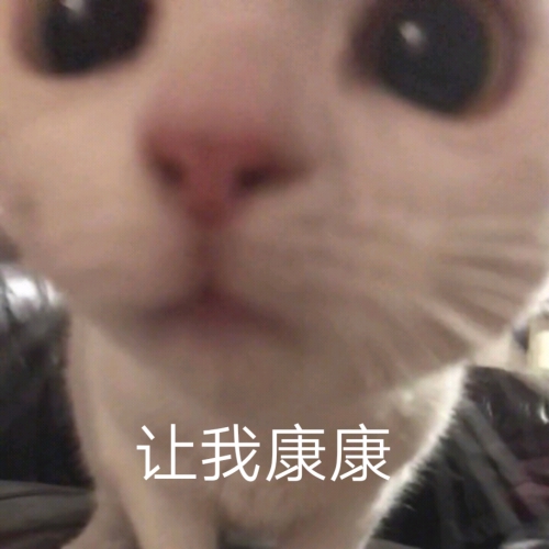 猫咪：让我康康_猫咪_康康表情