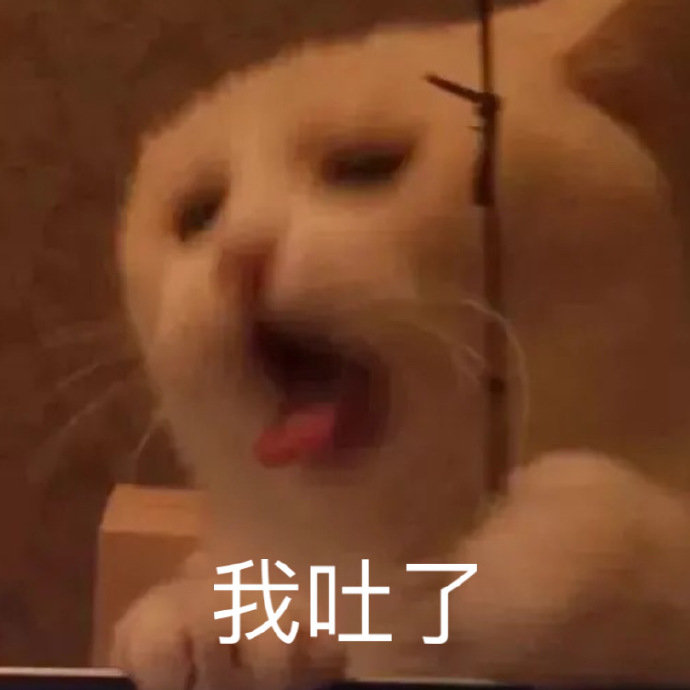 我吐了(猫咪表情包)_猫咪表情